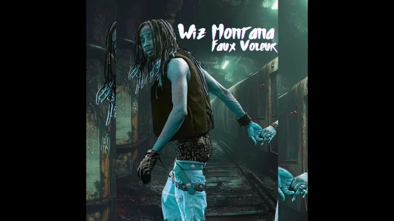 Wiz Montana – Faux Voleur (Official Music Video)
