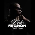 Sidiki Diabate Peche Mignon official audio 2026 love song