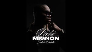 Sidiki Diabate Peche Mignon official audio 2026 love song