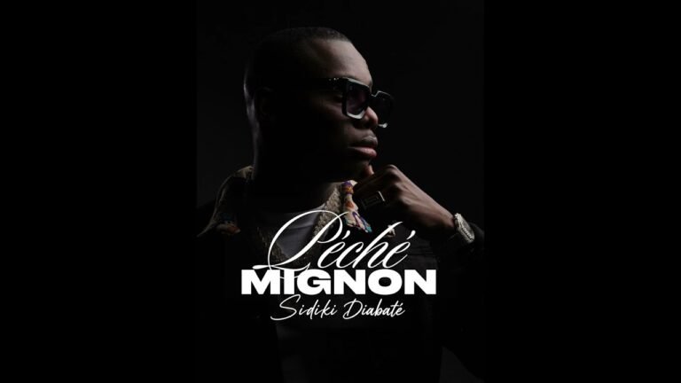 Sidiki Diabate Peche Mignon official audio 2026 love song